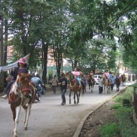 Liburan di Kota Naik Kuda