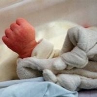 Kondisi Bayi Raksasa Asal Batubara Semakin Membaik  