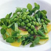 Warna-Warni yang Bikin Sehat