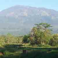 Hutan di Gunung Lawu Terbakar, 5 Pawang Hujan Dikerahkan