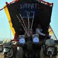 100 Cikar Hias Meriahkan Wisata Pantai Watu Olo