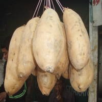 Si Manis Madu dari Sumedang