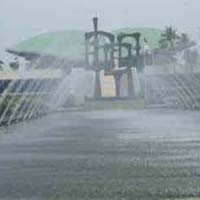 PDIP, Partai Golkar, dan Rezim Otoriter