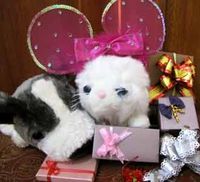 Mempercantik Kado di Salon Kado