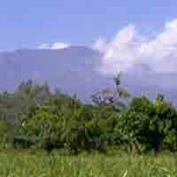 Takut Kebakaran Menjalar, Perhutani Kediri Siaga di Gunung Wilis