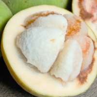 Asam Manis Buah Langka Khas Betawi