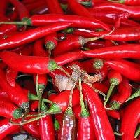 Harga Cabai Merah dan Gula Putih Belum Stabil