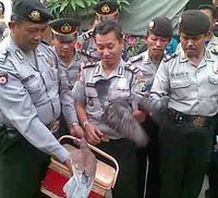 Rumah Burung Dara Digerebek