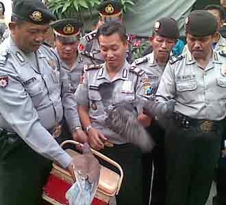 Rumah Burung Dara Digerebek