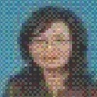 Kartu Kredit Mega Visa Mengabaikan dan Berpotensi Fraud yang Tinggi