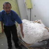 Perketat Keamanan, Museum Geologi Tambah CCTV