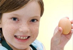 Telur Bantu Perkembangan IQ Anak