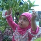 Rengganis Putri Kunaifi, 1,6 Tahun; Perempuan; f