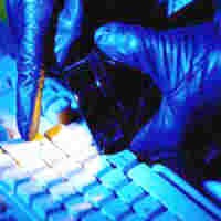 Puluhan Ribu Password Hotmail Bocor di Internet