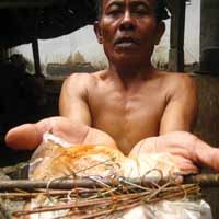 Kail Ikan di Perut Sapi Jadi Rebutan Warga