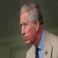 Pangeran Charles Cemaskan Padang Gurun Internet