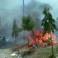 Warga Panik  Kebakaran Ilalang di Prada Indah