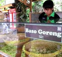 20 Olahan Mie dan Bakso di Kampung Bakso