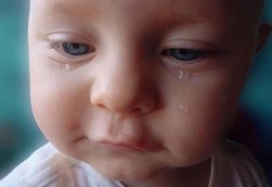 Bayi di Kepulauan Seribu Banyak Terkena Anemia