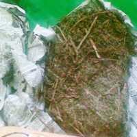 Polisi Bekuk Dua Pengedar Ganja di Daerah Cileunyi