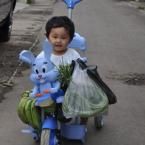 Adinda Nabila Dyanisa, 1,2 Tahun; Perempuan; f