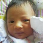 Khalissa Zahirah Tiftazaniahirah Tiftazani, 7 Bulan; Perempuan; f