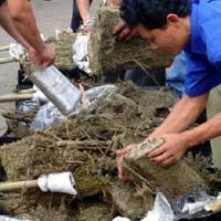 Pengedar Simpan 24 Paket Ganja di Bawah Pohon Bambu