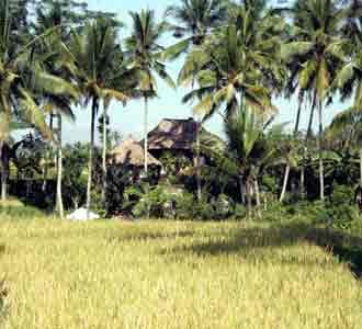 Lokasi Syuting Julia Roberts