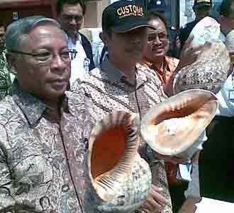 Ribuan Satwa Liar Beku Diamankan Ribuan Satwa Liar Beku Diamankan