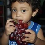 Bizar Octo Givardi, 1,6 Tahun; Lelaki; m