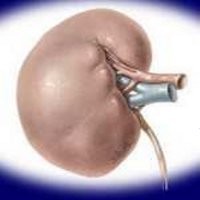 Ortu Terimpit Utang, Gadis 20 Tahun Nekad Jual Ginjal