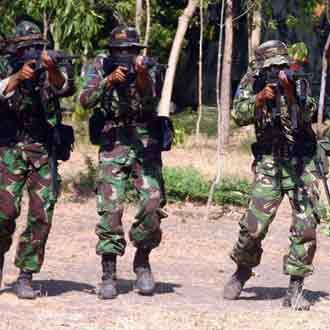 Marinir RI dan AS Latihan Bareng