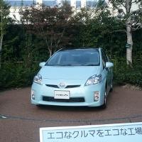 Tsutsumi Yang Makin Hijau