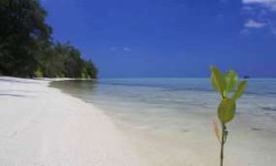 Bau Mistis Dari Karimun Jawa