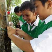 Kurangi Polusi, SD At Taqwa Buat Taman Lumut 