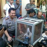 Polisi Sita Belasan Satwa Dilindungi
