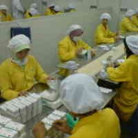 Penjualan Indo Farma Turun 10%