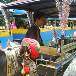 Delman Monas Dipindah ke Ragunan Pekan Depan