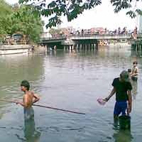 Warga di Pinggir Kali Mas Berebut Ikan Mabuk 