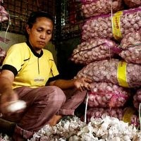Suplai Menurun, Harga Bawang Putih di Bandung Naik