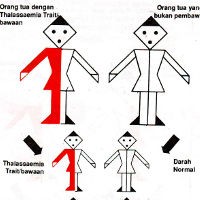 Jumlah Penderita Tinggi, Jabar Butuh Thalassaemia Centre 