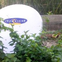 Terima Kasih Selama Ini Puas dengan Pelayanan Indovision