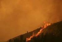 Sistem Indofire Sedot Rp 12,9 Miliar Uang Australia