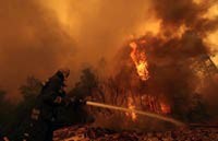 Riau dan Kalsel Jadi Proyek Percobaan Indofire