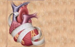 Miokarditis-Pediatrik