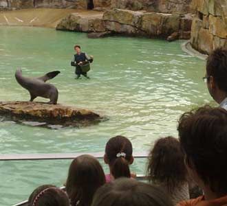 Mengunjungi Bonbin Berlin