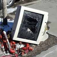 Virus Facebook: Sudah Jatuh, Tertimpa Tangga lalu Digigit Anjing