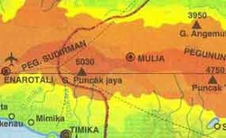 Pesawat Polri Jatuh di Papua, 4 Penumpang Dipastikan Tewas