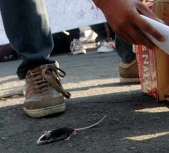 BEM Lepas Tikus di Polda Bali