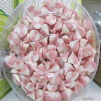 Warna-Warni Chocolate Chip